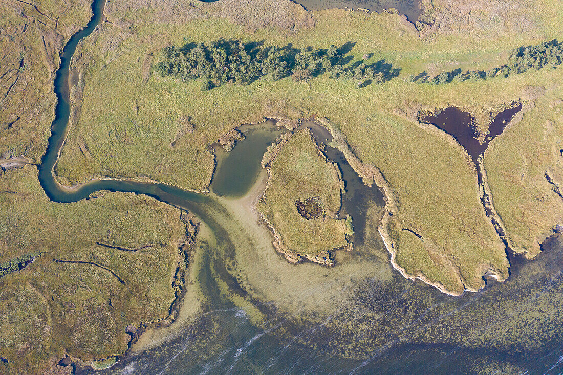  View of the Kleine Werder island group, Western Pomerania Lagoon Area National Park, Mecklenburg-Western Pomerania, Germany 