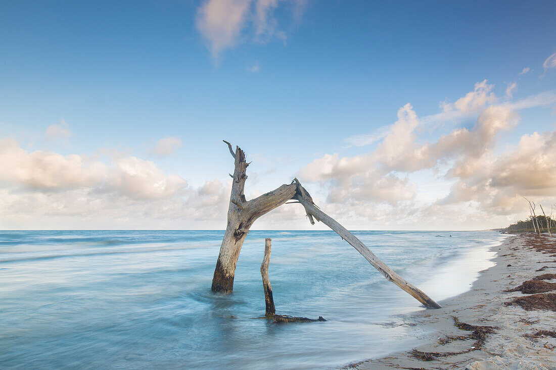  Beach landscape on the north beach near Zingst, Western Pomerania Lagoon Area National Park, Fischland-Darss-Zingst, Mecklenburg-Western Pomerania, Germany 