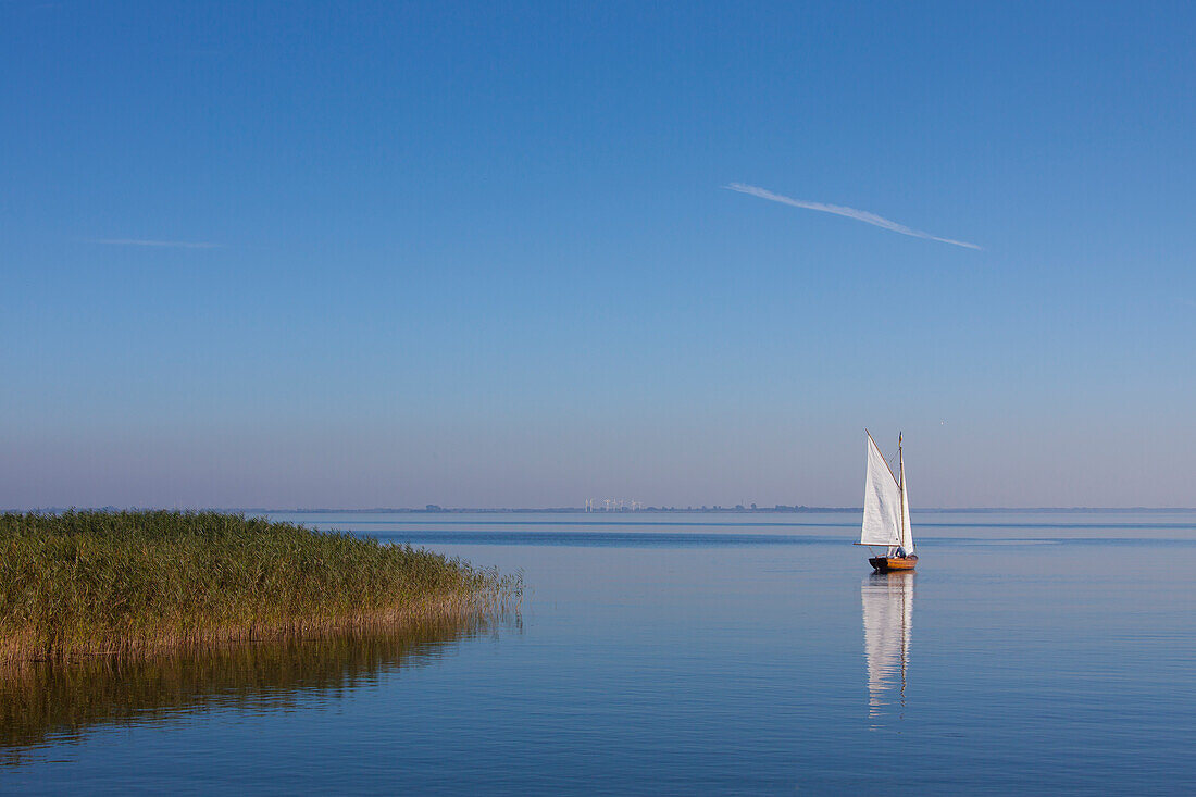  Sailboat, reflection, Western Pomerania Lagoon Area National Park, Mecklenburg-Western Pomerania, Germany 