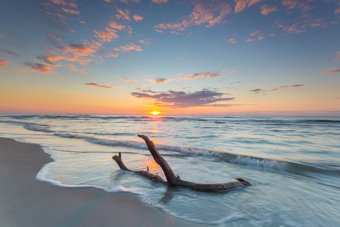  Evening atmosphere on the western beach of Darss, Western Pomerania Lagoon Area National Park, Fischland-Darss-Zingst, Mecklenburg-Western Pomerania, Germany 