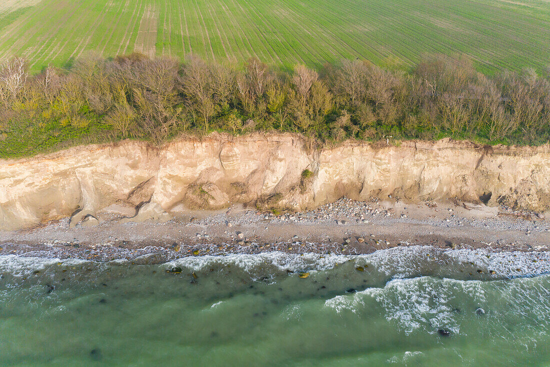  Cliffs near Wustrow, Fischland, Mecklenburg-Western Pomerania, Germany 