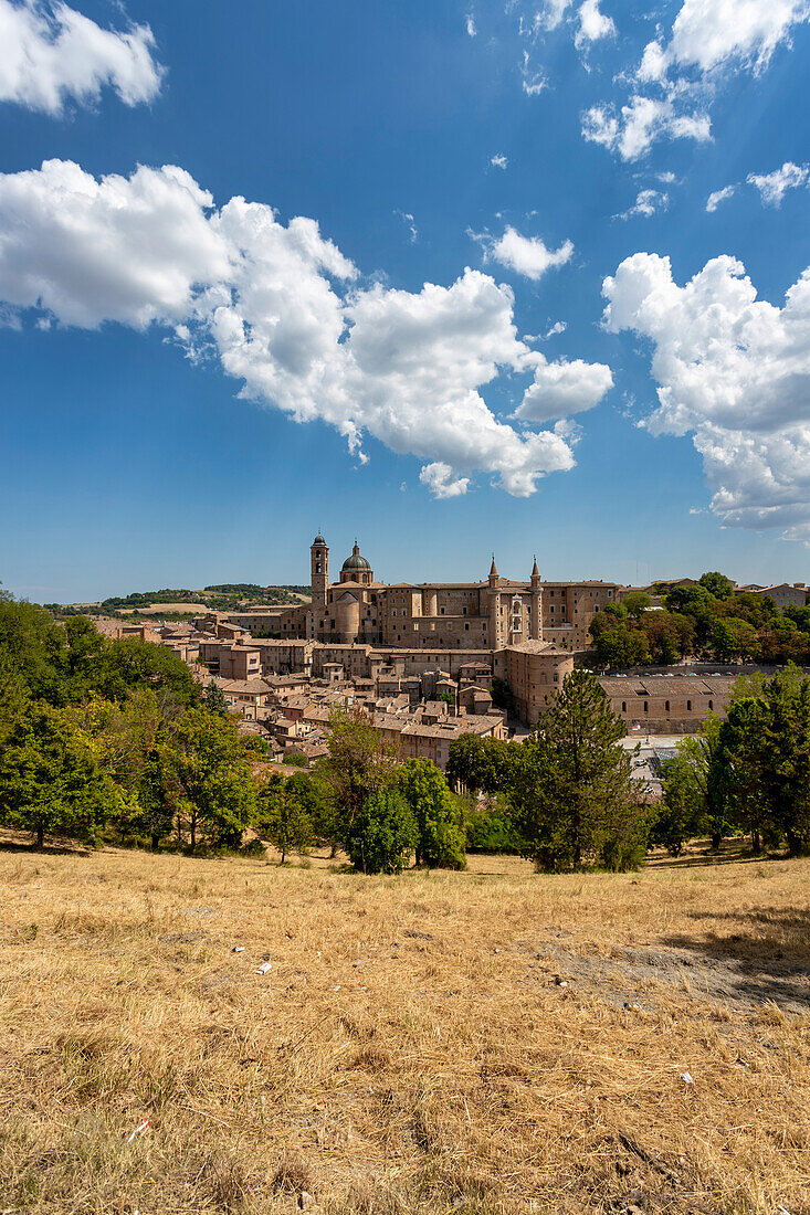 Blick vom Hügel auf Kathedrale Duomo di Santa Maria Assunta, Herzogspalast Palazzo Ducale und historisches Zentrum, Urbino, Pesaro, Marken, Italien, Europa