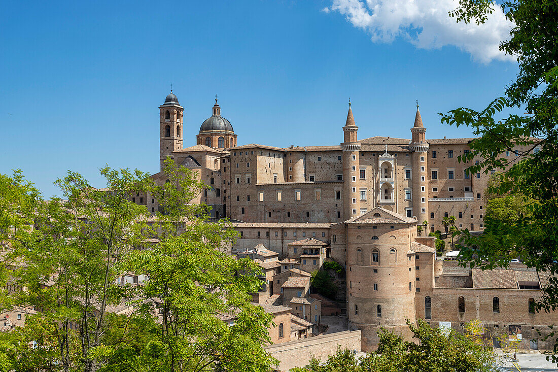 Blick auf Kathedrale Duomo diSanta Maria Assunta, Herzogspalast Palazzo Ducale und  historisches Zentrum, Urbino, Pesaro, Marken, Italien, Europa