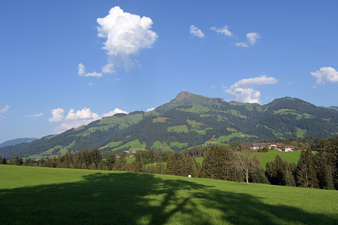 Kitzsteinhorn bei Kitzbühel mit Kitzbühler Horn, Tirol, Österreich