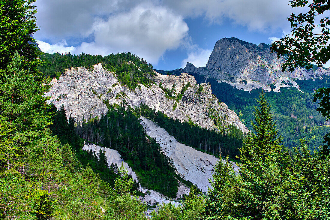  Gesäuse National Park, Styria-Austria. View of the Limestone Alps 