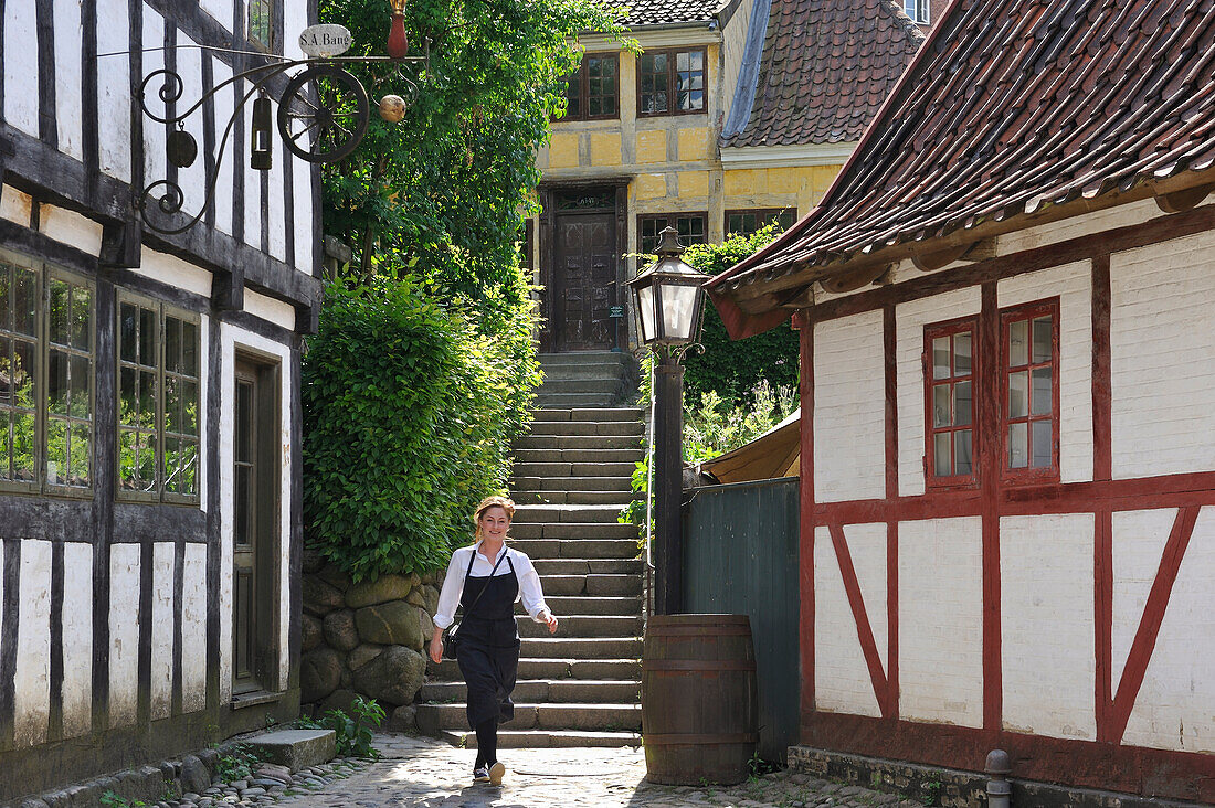 Den Gamle By or The Old Town, open air town museum that consists of 75 historical buildings collected from 20 townships in all parts of the country (originally erected between 17th and 20th century), Aarhus, Jutland Peninsula, Denmark, Northern Europe