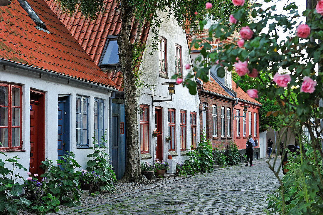 Mollestien lane, picturesque cobbled street right in the centre of Aarhus, Jutland Peninsula, Denmark, Northern Europe