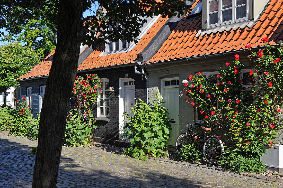 Typische kleine Reihenhäuser, Mollestien Lane, Zentrum von Aarhus, Halbinsel Jütland, Dänemark, Nordeuropa