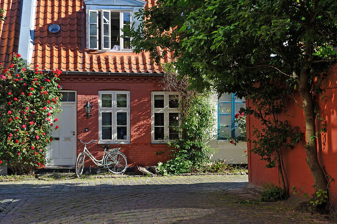 Mollestien lane, picturesque cobbled street right in the centre of Aarhus, Jutland Peninsula, Denmark, Northern Europe