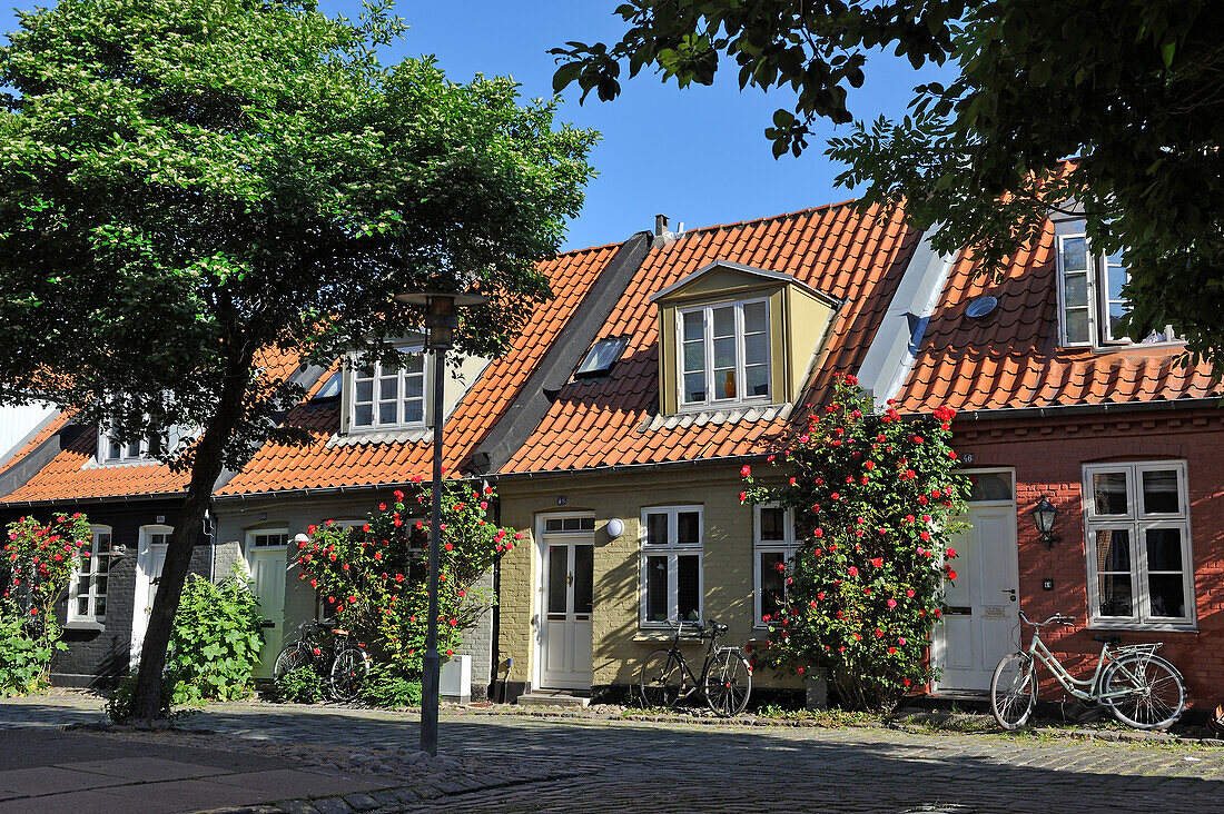 Typische kleine Reihenhäuser, Mollestien Lane, Zentrum von Aarhus, Halbinsel Jütland, Dänemark, Nordeuropa