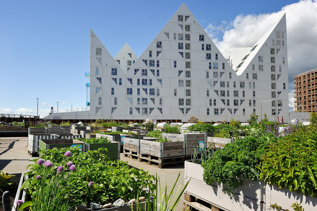 public O-Haven city garden in front of The Iceberg apartment building in the new quarter Aarhus Ø  constructed by the expansion of the harbour area, Aarhus, Jutland Peninsula, Denmark, Northern Europe