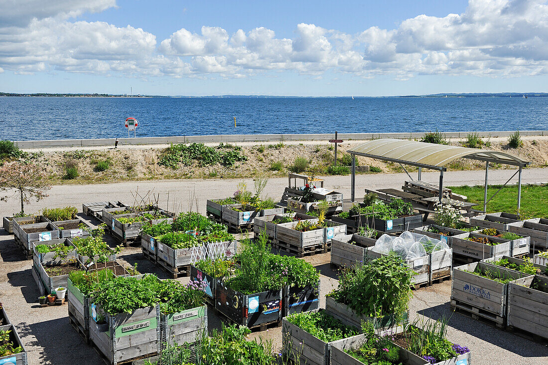 public O-Haven city garden in front of The Iceberg apartment building in the new quarter Aarhus Ø  constructed by the expansion of the harbour area, Aarhus, Jutland Peninsula, Denmark, Northern Europe