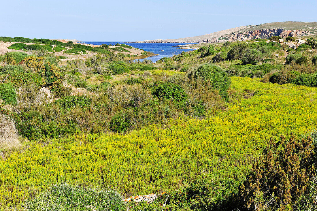 Cape Cavalleria on the North Coast of Menorca, Balearic Islands, Spain, Europe