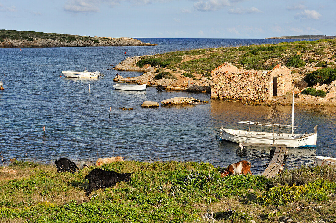 Hafen von Sanitja, Kap Cavalleria an der Nordküste, Insel Menorca, Balearen, Spanien, Europa