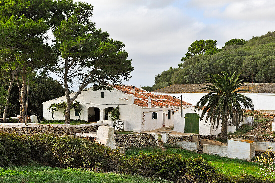 Bauernhof auf dem Weg zum höchsten Gipfel Monte Toro im Norden, Es Mercadal, Insel Menorca, Balearen, Spanien, Europa