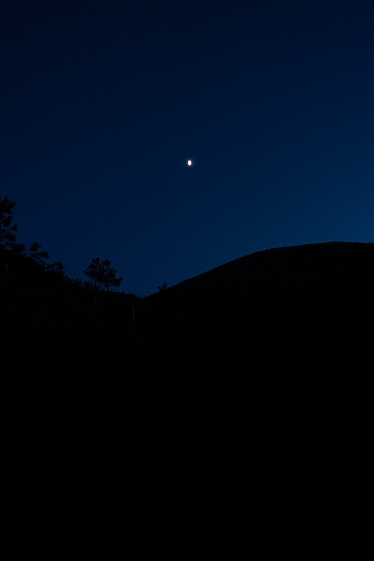 Silhouette von Bäumen vor einem klaren, blauen Sternenhimmel schaffen eine ruhige Nachtszene, Kampanien, Italien, Europa