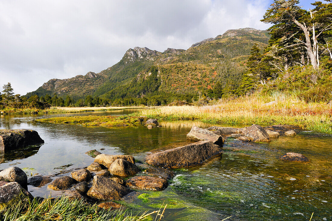 Ainsworth Bay,Alberto de Agostini National Park,Tierra del Fuego, Patagonia,Chile,South America