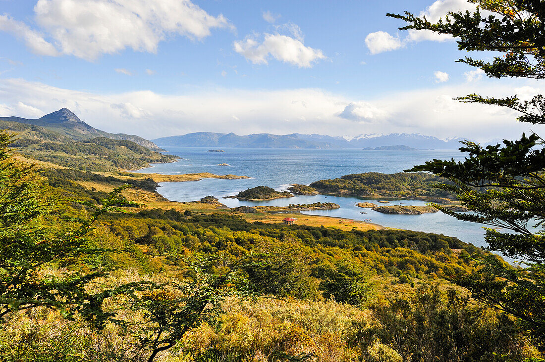 Blick in die Bucht Wulaia Bay, Insel Navarino, Feuerland, Patagonien, Chile, Südamerika