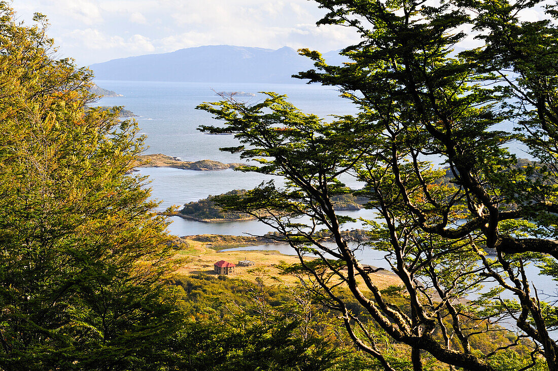 Landschaft in der Wulaia Bay, Insel Navarino, Feuerland, Patagonien, Chile, Südamerika