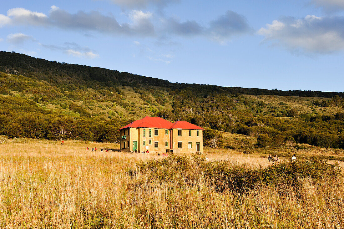 Landschaft in der Wulaia Bay, Insel Navarino, Feuerland, Patagonien, Chile, Südamerika