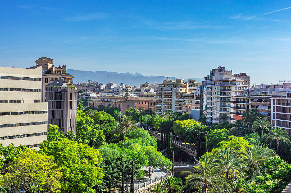 Stadtbild  Palma, Mallorca, Balearen, Spanien, Mittelmeer, Europa