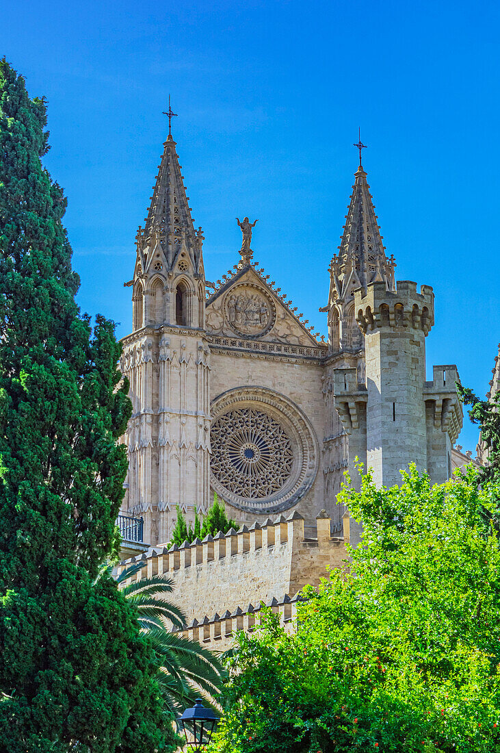  Partial view of the Cathedral La Seu, Palma, Mallorca, Balearic Islands, Spain, Mediterranean, Europe 