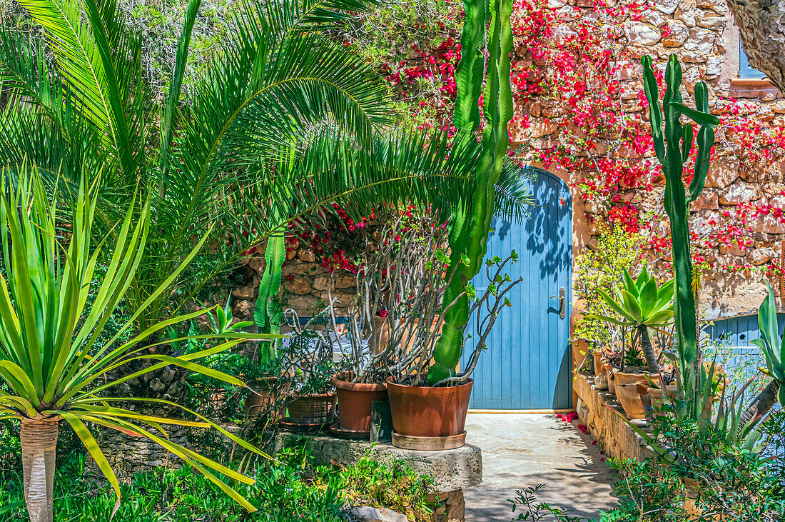 Mit Blumen bewachsenes Haus in der Bucht von Portopetro, Gemeindegebiet  Santanyí, Südostküste, Mallorca, Balearen, Spanien