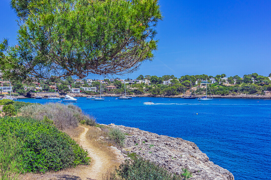 Ausblicke in die Bucht von Portopetro, Gemeindegebiet  Santanyí, Südostküste, Mallorca, Balearen, Spanien