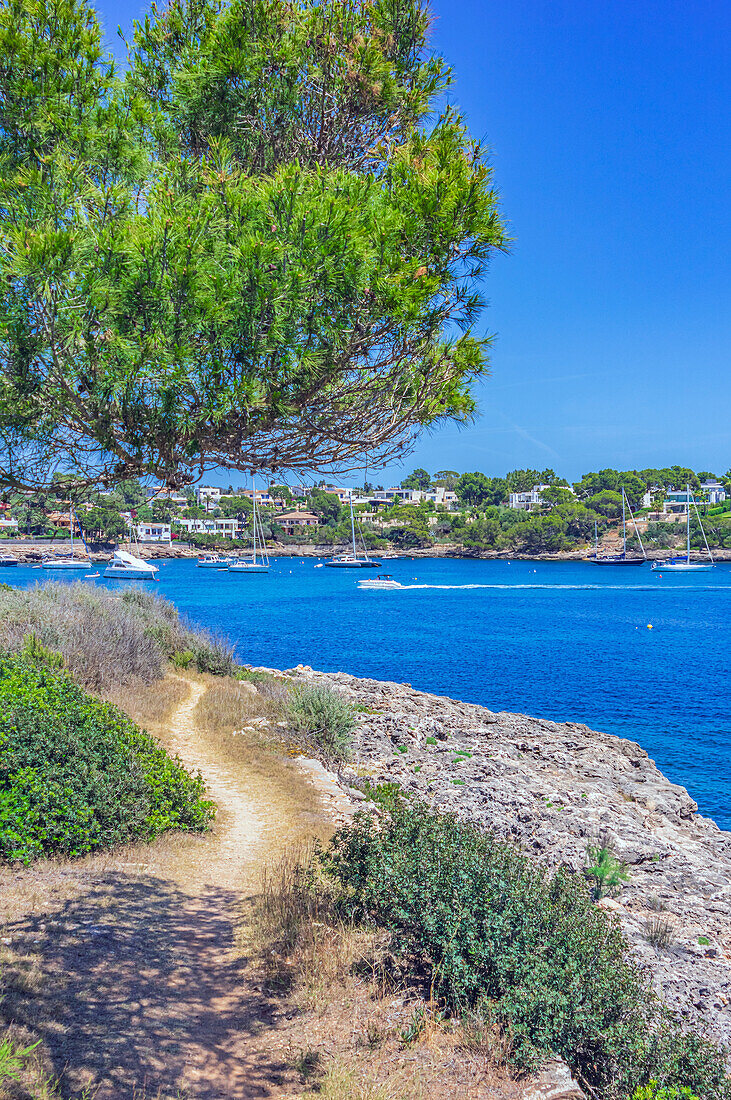  The bay of Porto Pedro, Mallorca, Spain 