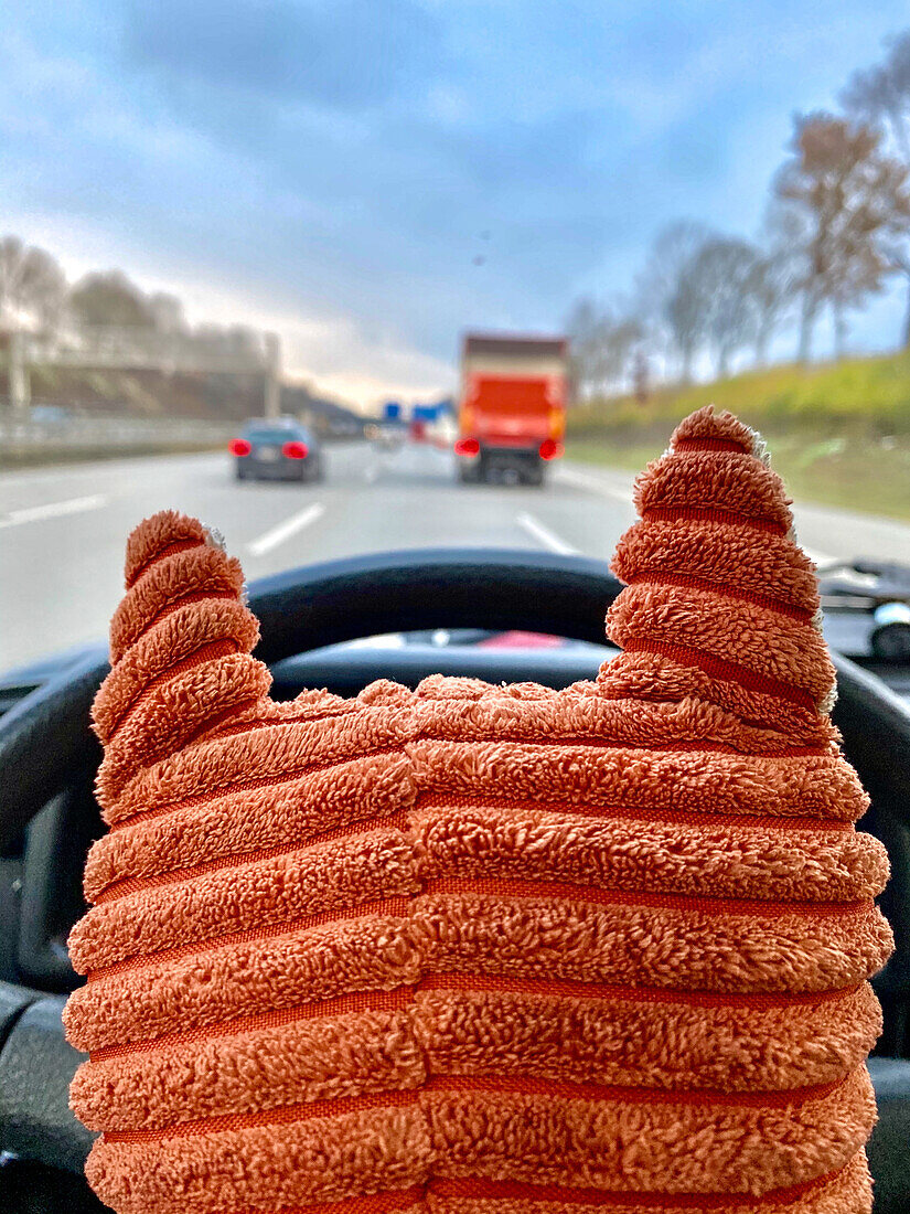 Stofffuchs hinterm Steuer fährt Auto auf der Autobahn