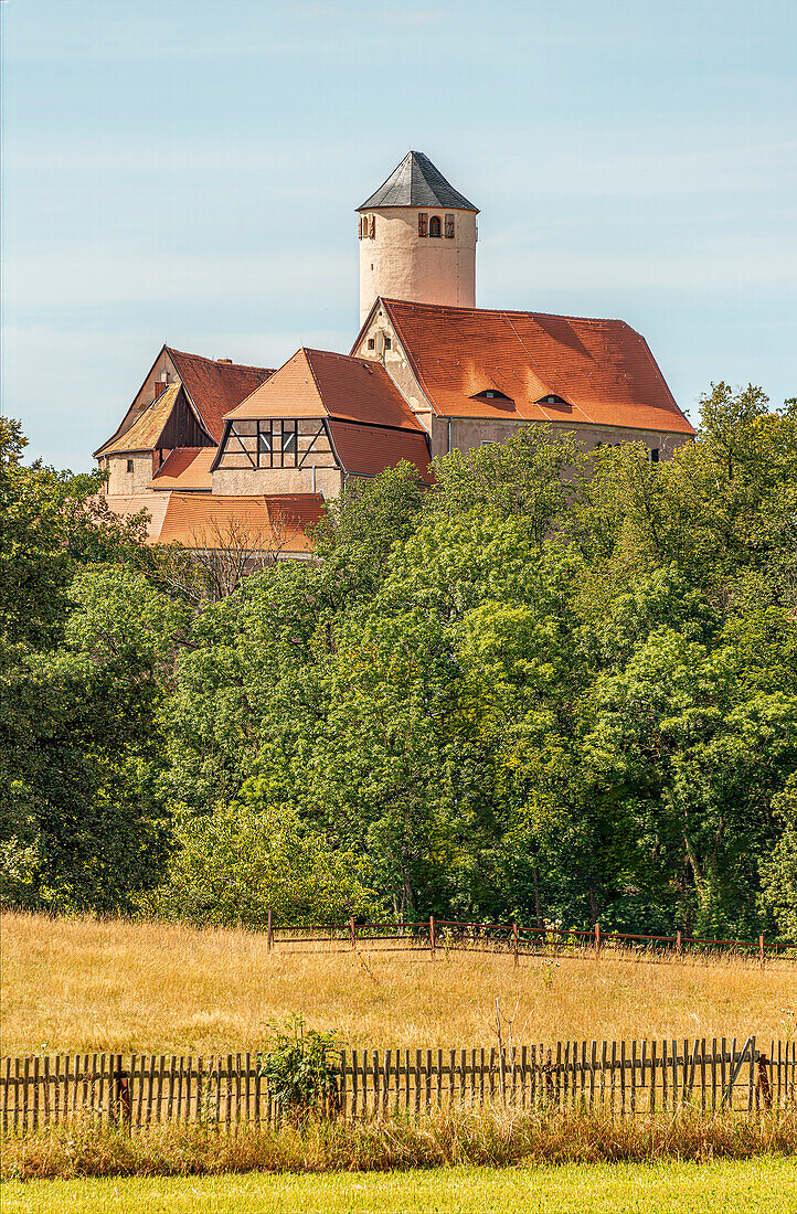  Schönfels Castle in Lichtentanne, Saxony, Germany 