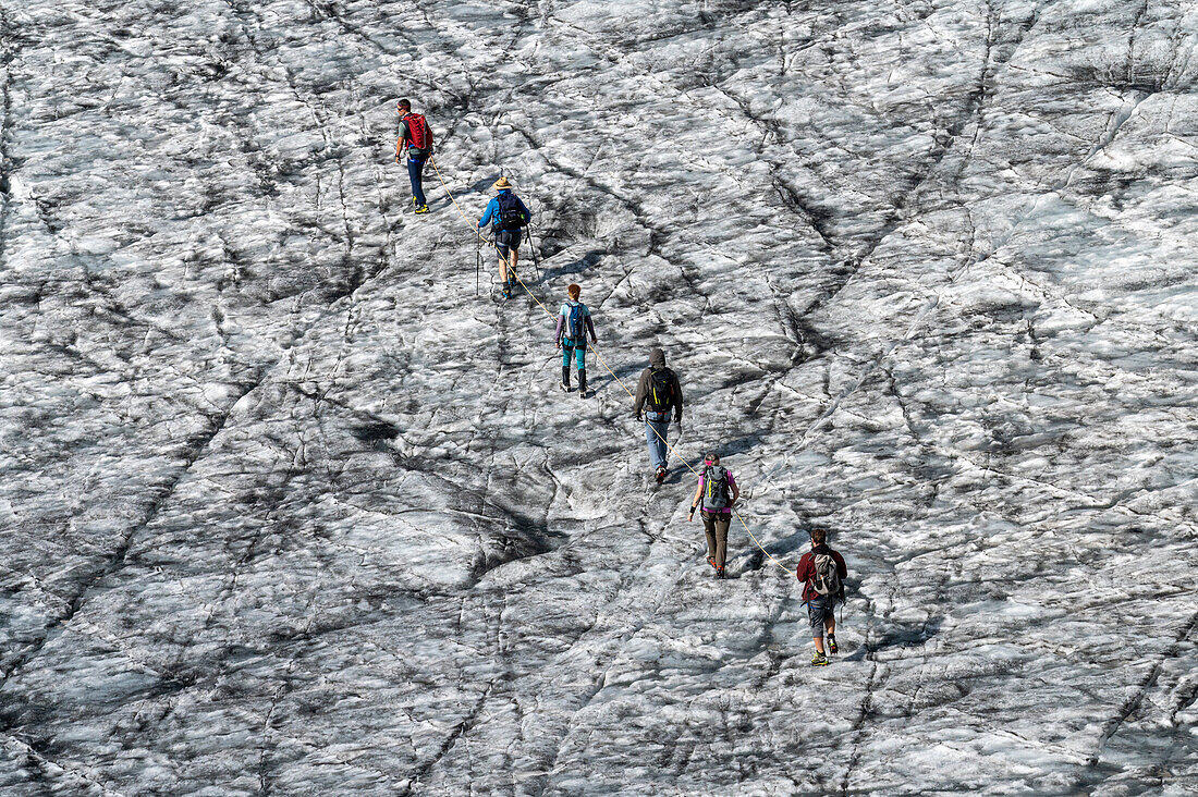  Alpinists crossing the Stubach Glacier with crevasses, Hohe Tauern National Park, Salzburg, Austria 