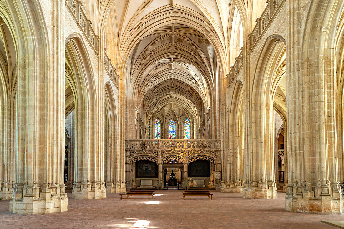  Interior of the monastery church of the Royal Monastery of Brou in Bourg-en-Bresse, France, Europe 