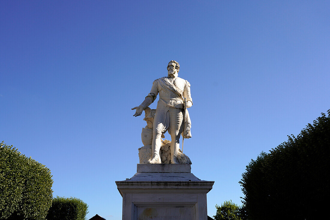  Statue of King Henry IV on the Place Royale in Pau, Pyrenees, France, Europe 