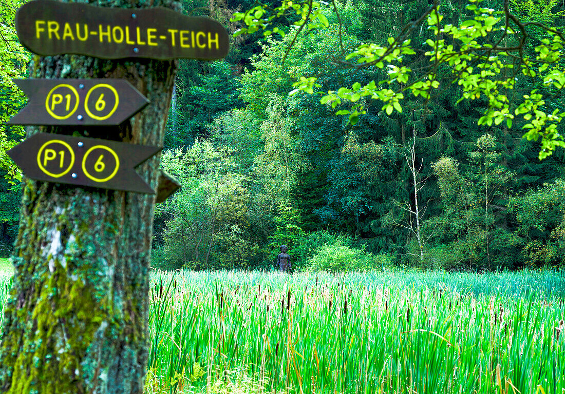 Geo-Naturpark Frau-Holle-Land, Frau-Holle-Teich, Statue Frau Holle, Hoher Meißner, Hessen, Deutschland