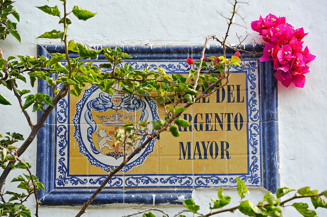 street plate in the downtown colonial walled city, Cartagena, Colombia, South America