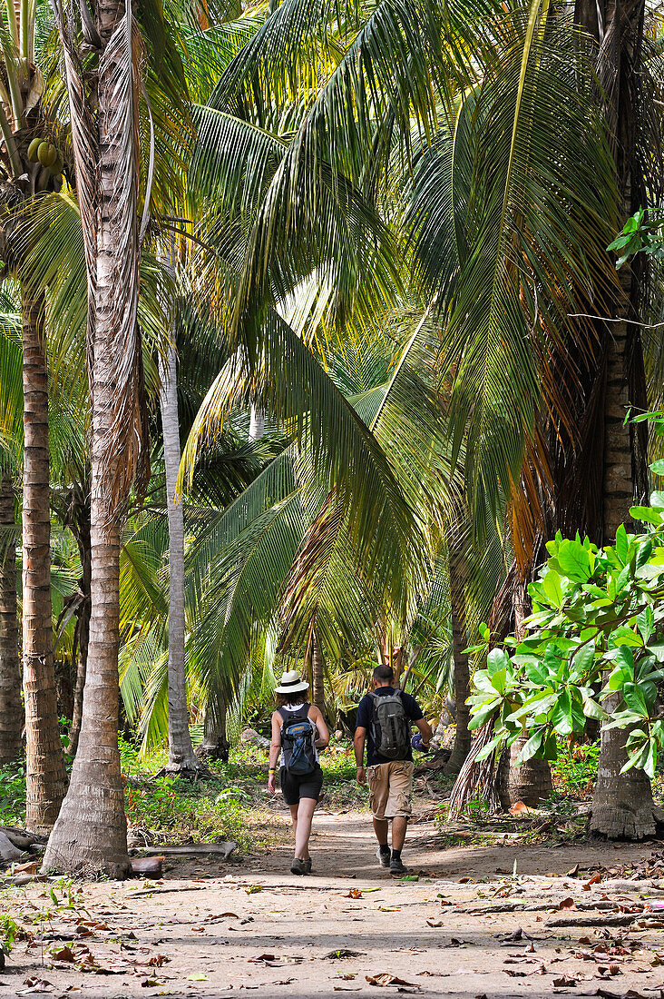 walking in the Tayrona National Natural Park, Department of Magdalena, Caribbean Region, Colombia, South America