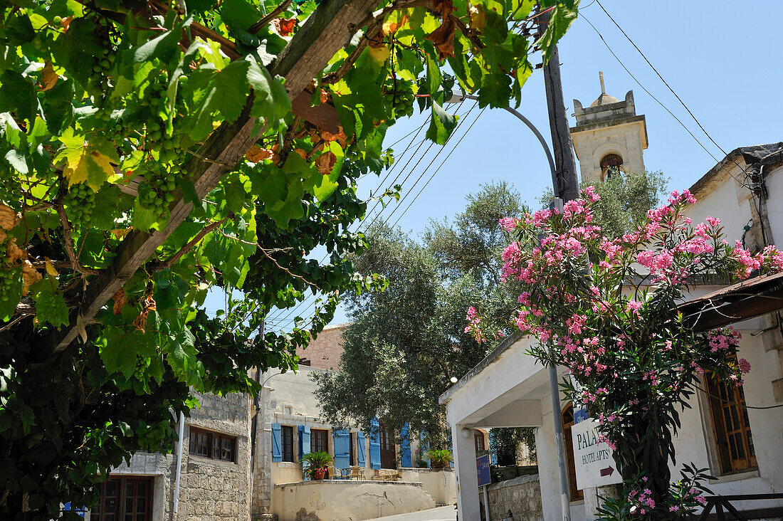 Dorf Drousia, auch Drouseia, Droushia, Akamas-Halbinsel, Bezirk Paphos, Zypern, östliches Mittelmeer