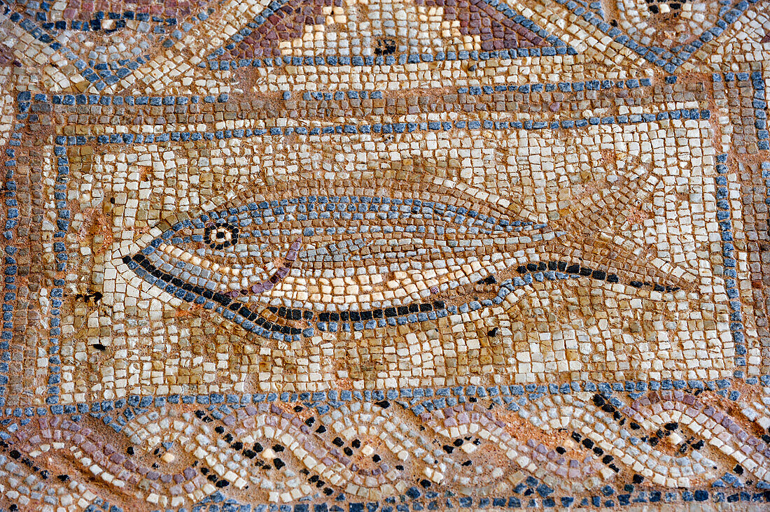 Mosaik im Museum 'Villa des Eustolios' in Kourion, Bezirk Limassol, Zypern, östliches Mittelmeer