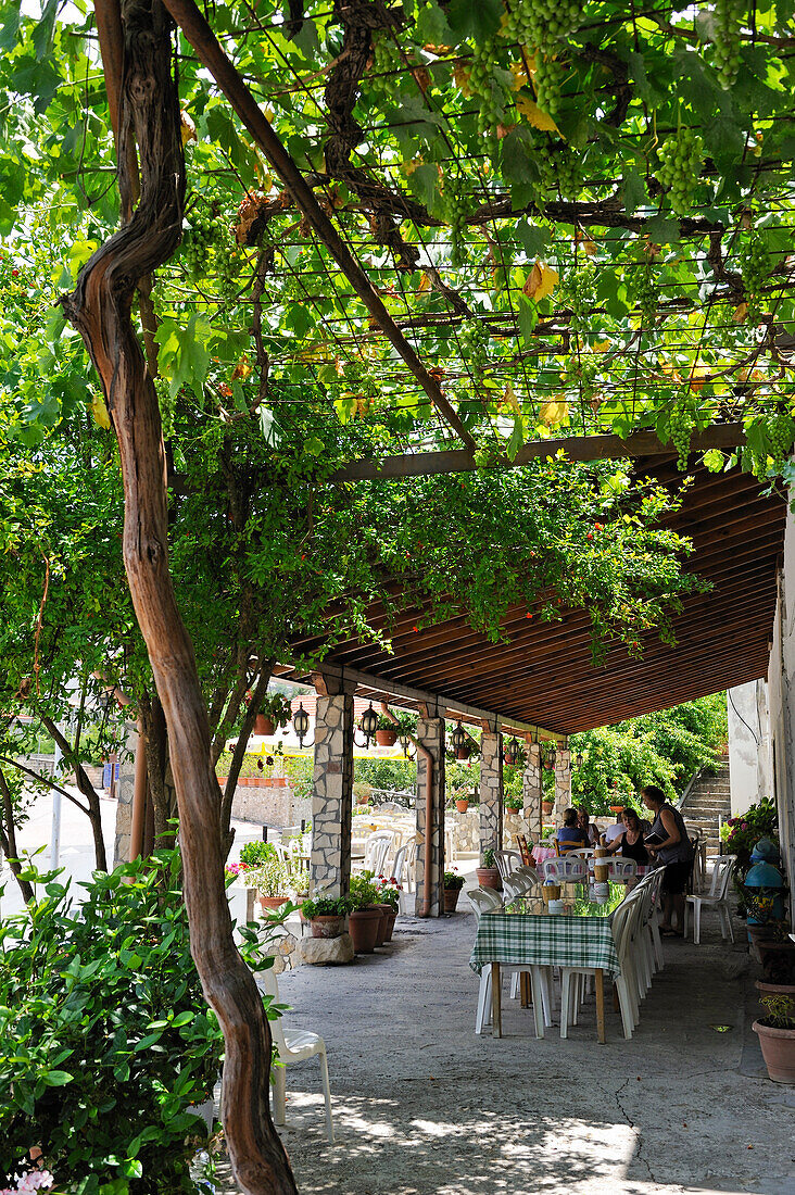 Terrasse mit Laube eines typischen Restaurants, Panayia, Bezirk Paphos, Zypern, östliches Mittelmeer