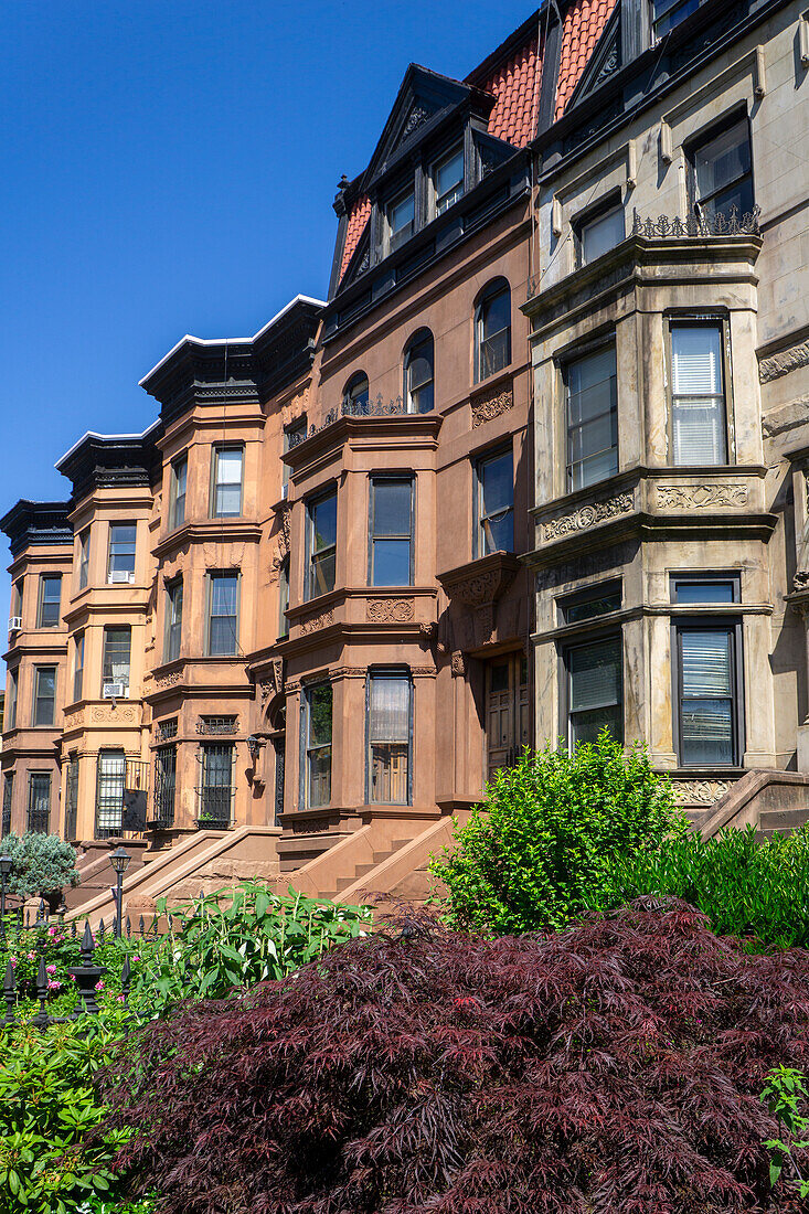 Row of brownstone houses, MacDonough Street, Bedford-Stuyvesant, Brooklyn, New York City, New York, USA