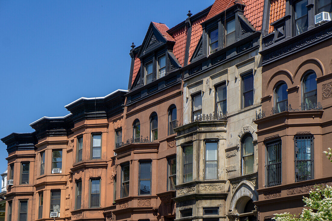  Reihe von Brownstone-Häusern, MacDonough Street, Bedford-Stuyvesant, Brooklyn, New York City, New York, USA 