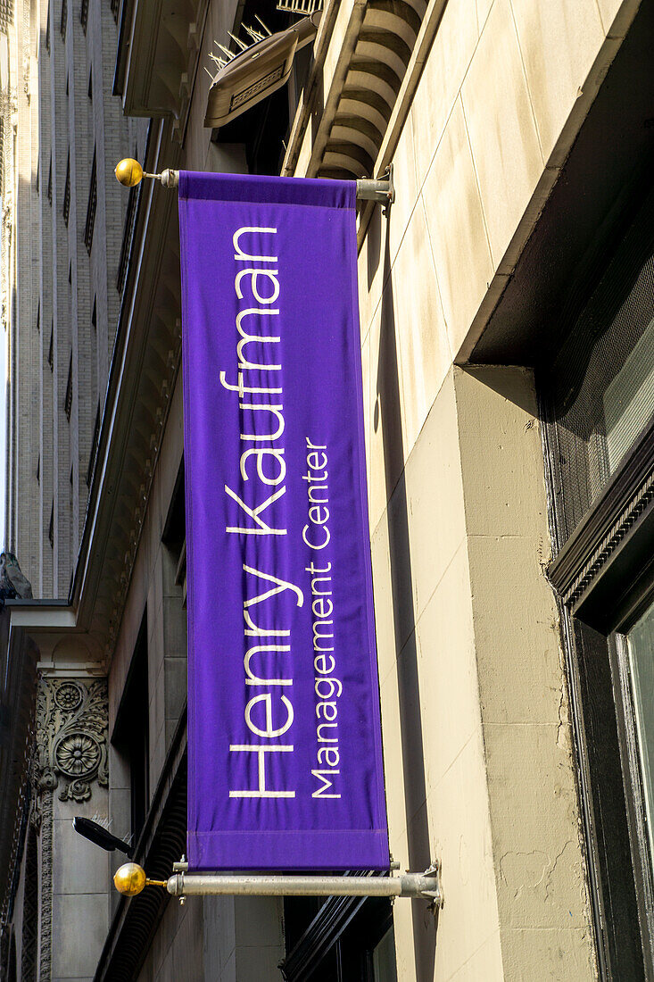 Henry Kaufmann Management Center, New York University, Greenwich Village, New York City, New York, USA