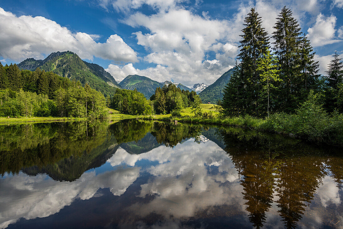 Moorweiher, Oberstdorf, Oberallgäu, Allgäu, Bayern, Deutschland