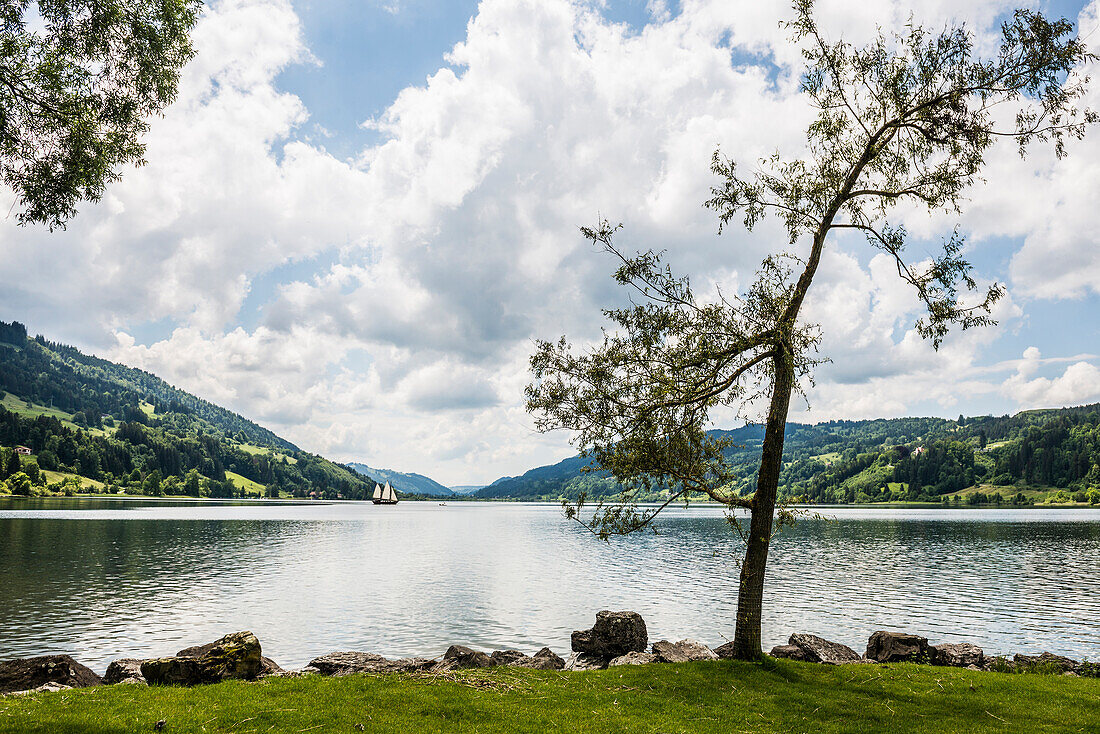  Bühl, Großer Alpsee, Immenstadt, Oberallgäu, Allgäu, Swabia, Bavaria, Germany 