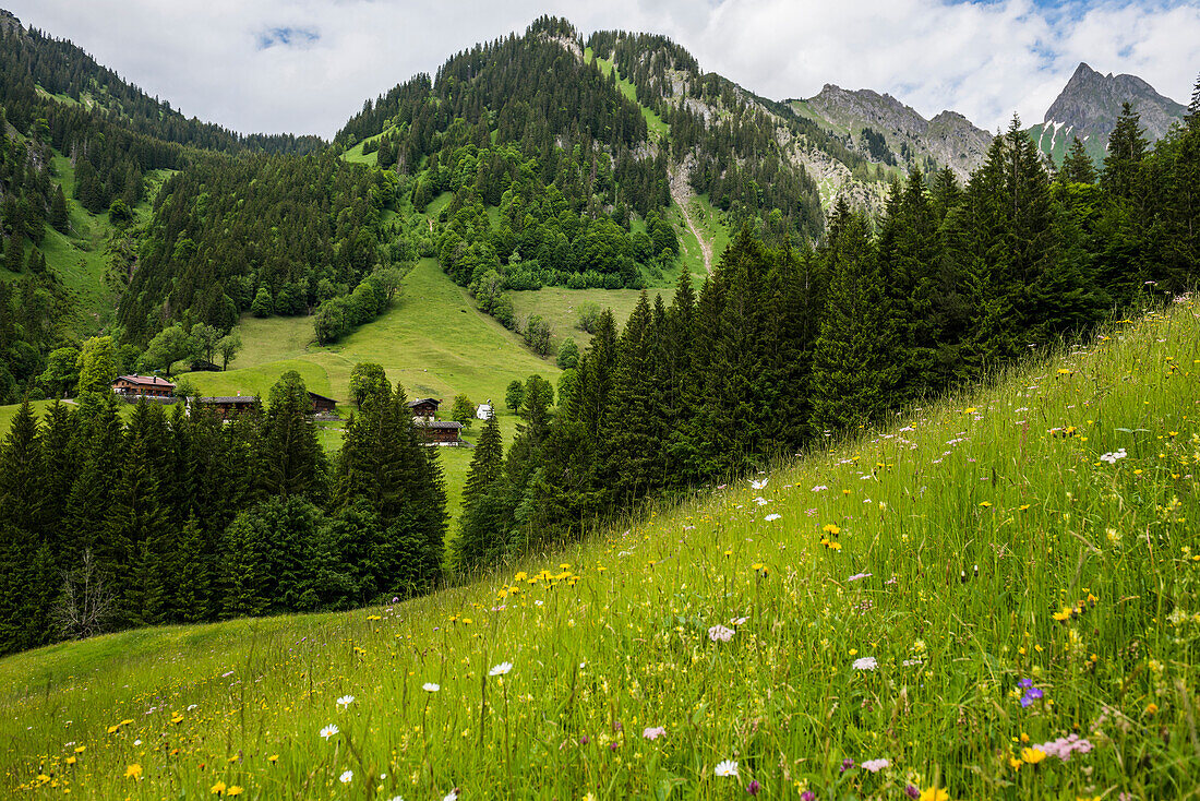 Bergbauerndorf, Gerstruben, Dietersbachtal, bei Oberstdorf, Allgäuer Alpen, Allgäu, Bayern, Deutschland