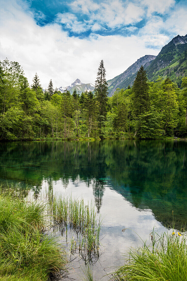  Christlessee, near Gottenried, Trettachtal, Oberstdorf, Oberallgäu, Allgäu, Bavaria, Germany 