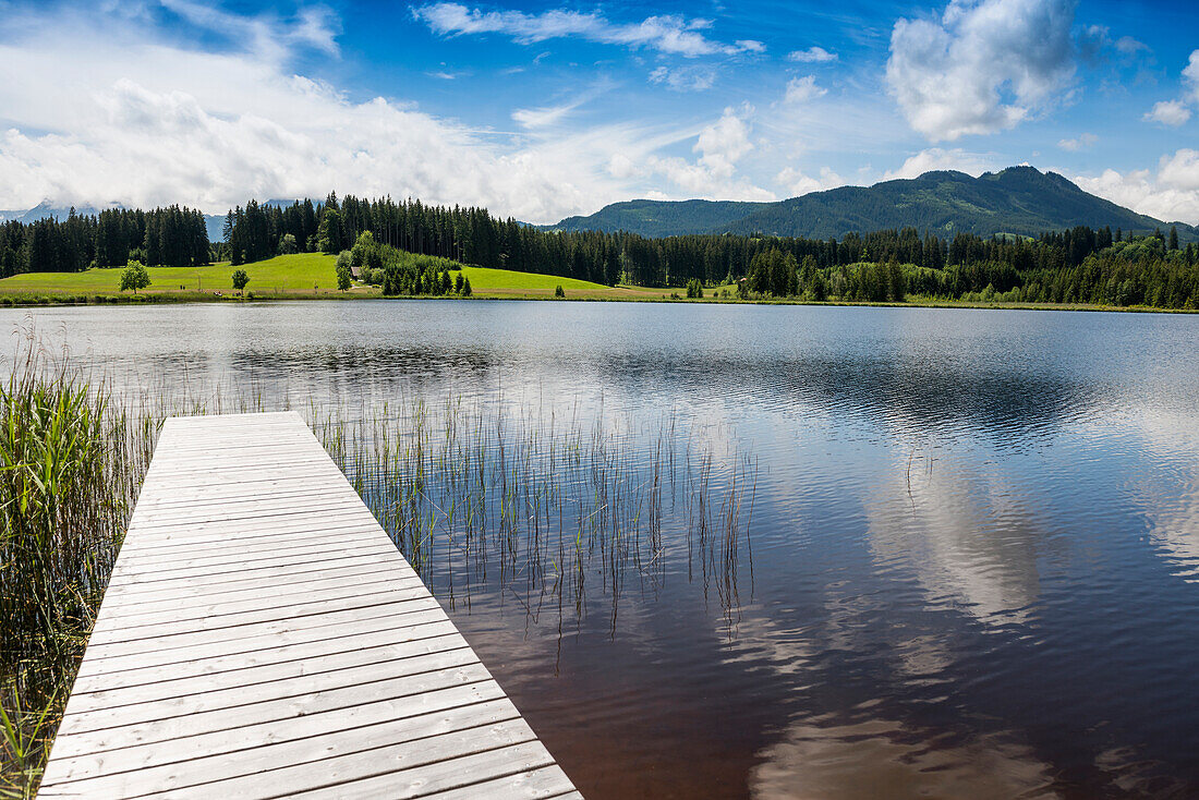  Attlesee, near Nesselwang, Oberallgäu, Allgäu, Swabia, Bavaria, Germany 