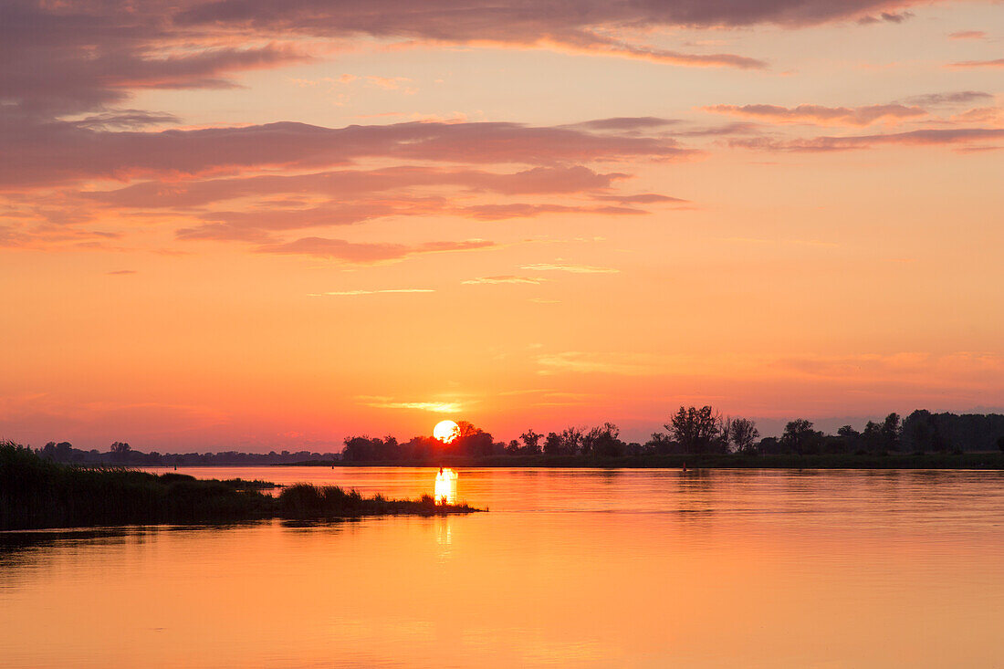 Sonnenuntergang ueber der Oder, Oderbruch, Brandenburg, Deutschland