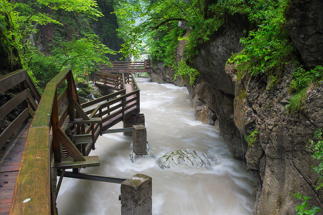  Watercourse in the Seisenbergklamm, Weissbach near Lofer, Salzburg, Austria 